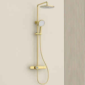 三功能豪华淋浴