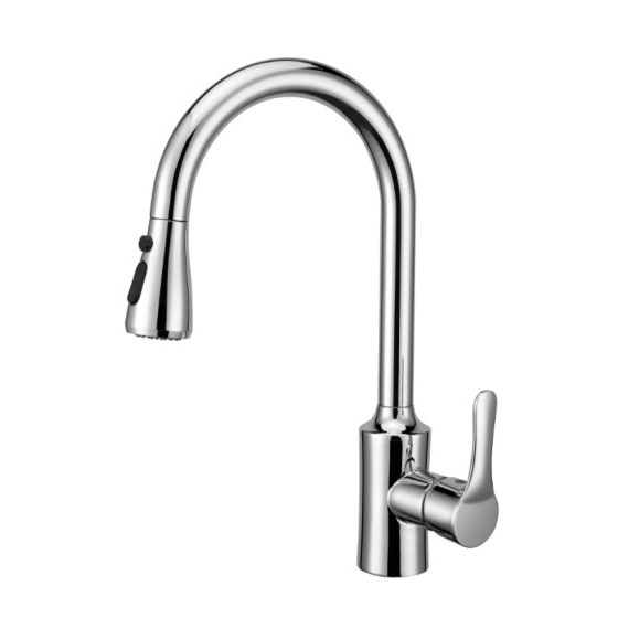 Dual Control Kitchen Faucet